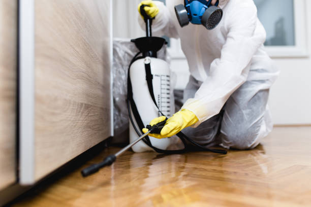 Best Rat Extermination Near Me  in Campbell, OH