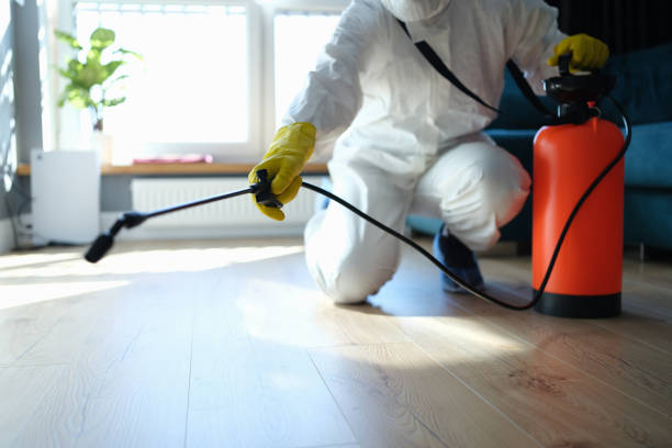 Best Flea Control Services  in Campbell, OH
